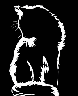 Кошка сидит