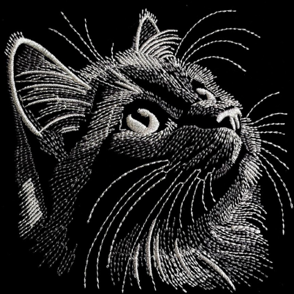 Голова котика