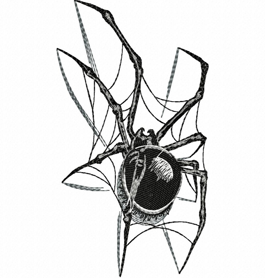 Паук